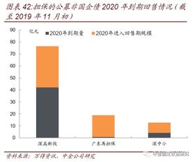 透過城投與非國企債擔保，解析專業擔保公司信用風險跟蹤